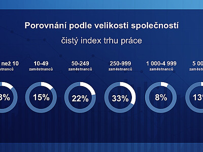Porovnání podle velikosti společností